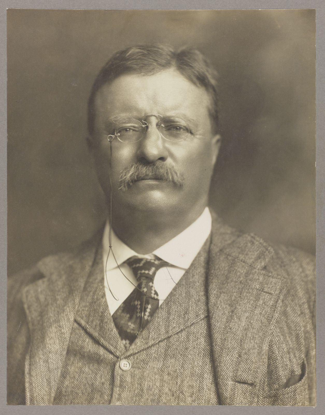 Portrait of Theodore Roosevelt